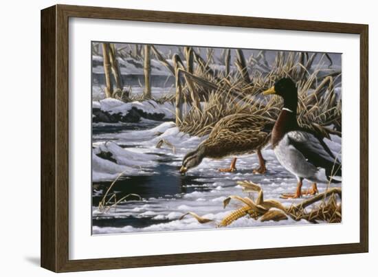 Spring Thaw - Mallards-Wilhelm Goebel-Framed Giclee Print