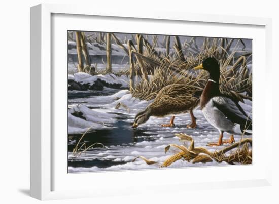 Spring Thaw - Mallards-Wilhelm Goebel-Framed Giclee Print