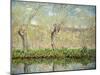 Spring, the Border of L'Epte; Printemps, Bord De L'Epte, 1885-Claude Monet-Mounted Giclee Print