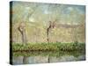 Spring, the Border of l'Epte-Claude Monet-Stretched Canvas