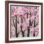 Spring Theme-Helena Alves-Framed Art Print