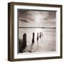 Spring Tide II-Bill Philip-Framed Giclee Print