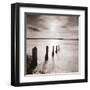 Spring Tide II-Bill Philip-Framed Giclee Print