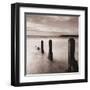 Spring Tide III-Bill Philip-Framed Giclee Print