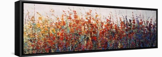 Spring Time Blooms II-Tim O'toole-Framed Stretched Canvas