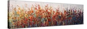 Spring Time Blooms II-Tim O'toole-Stretched Canvas