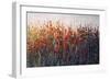 SPRING TIME BLOOMS-Tim O'toole-Framed Giclee Print