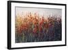 SPRING TIME BLOOMS-Tim O'toole-Framed Giclee Print