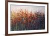SPRING TIME BLOOMS-Tim O'toole-Framed Giclee Print