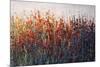 SPRING TIME BLOOMS-Tim O'toole-Mounted Giclee Print