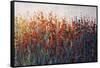 SPRING TIME BLOOMS-Tim O'toole-Framed Stretched Canvas