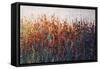 SPRING TIME BLOOMS-Tim O'toole-Framed Stretched Canvas