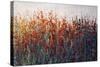 SPRING TIME BLOOMS-Tim O'toole-Stretched Canvas