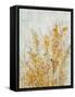 Spring Time II-Tim O'toole-Framed Stretched Canvas