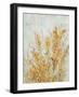 Spring Time II-Tim O'toole-Framed Art Print