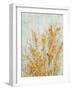 Spring Time II-Tim O'toole-Framed Art Print