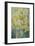 Spring Time, mixed daffodils in tank No 3., Mrs Krelage, Ice Follies and Fortune-Karen Armitage-Framed Giclee Print