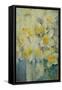 Spring Time, mixed daffodils in tank No 3., Mrs Krelage, Ice Follies and Fortune-Karen Armitage-Framed Stretched Canvas