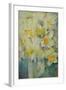 Spring Time, mixed daffodils in tank No 3., Mrs Krelage, Ice Follies and Fortune-Karen Armitage-Framed Giclee Print