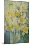 Spring Time, mixed daffodils in tank No 3., Mrs Krelage, Ice Follies and Fortune-Karen Armitage-Mounted Giclee Print