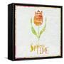 Spring Time Tulip-Cora Niele-Framed Stretched Canvas