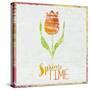 Spring Time Tulip-Cora Niele-Stretched Canvas