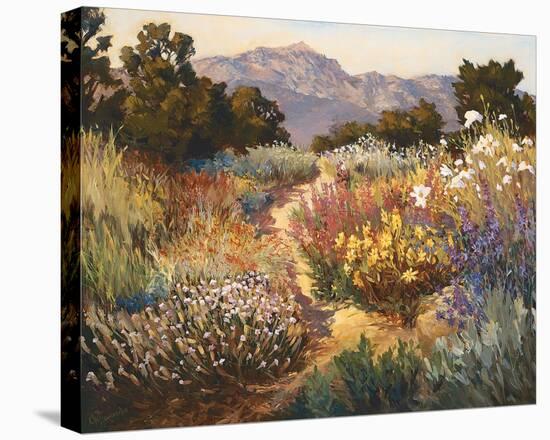 Spring Trails-Ellie Freudenstein-Stretched Canvas