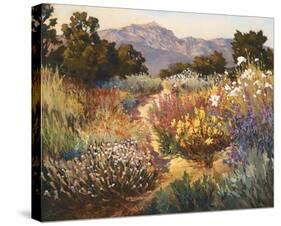 Spring Trails-Ellie Freudenstein-Stretched Canvas