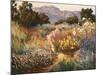 Spring Trails-Ellie Freudenstein-Mounted Art Print