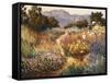 Spring Trails-Ellie Freudenstein-Framed Stretched Canvas