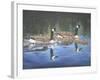 Spring Training-Bruce Dumas-Framed Giclee Print