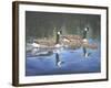 Spring Training-Bruce Dumas-Framed Giclee Print