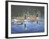 Spring Training-Bruce Dumas-Framed Giclee Print