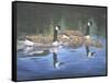 Spring Training-Bruce Dumas-Framed Stretched Canvas