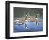 Spring Training-Bruce Dumas-Framed Giclee Print