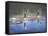 Spring Training-Bruce Dumas-Framed Stretched Canvas