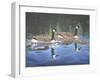 Spring Training-Bruce Dumas-Framed Giclee Print