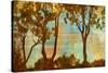 Spring Tree I-Mark Chandon-Stretched Canvas