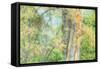 Spring Tree Impressions-Vincent James-Framed Stretched Canvas