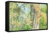 Spring Tree Impressions-Vincent James-Framed Stretched Canvas