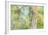 Spring Tree Impressions-Vincent James-Framed Photographic Print