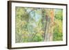 Spring Tree Impressions-Vincent James-Framed Photographic Print