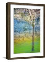 Spring Tree-Ursula Abresch-Framed Photographic Print