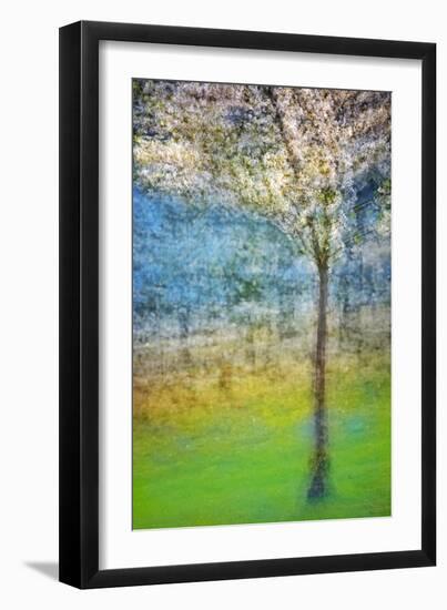 Spring Tree-Ursula Abresch-Framed Photographic Print