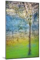 Spring Tree-Ursula Abresch-Mounted Photographic Print