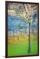 Spring Tree-Ursula Abresch-Framed Photographic Print