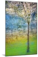Spring Tree-Ursula Abresch-Mounted Premium Photographic Print
