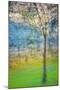 Spring Tree-Ursula Abresch-Mounted Premium Photographic Print