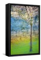 Spring Tree-Ursula Abresch-Framed Stretched Canvas