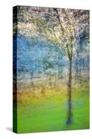 Spring Tree-Ursula Abresch-Stretched Canvas